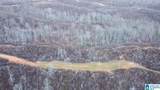 1925 Coaling Road - Photo 6