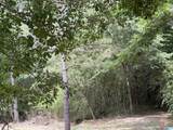 0 Lora Lane - Photo 1