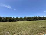 Lot 2 Cedar Springs Drive - Photo 1