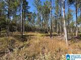  Us Hwy 231 - Photo 12