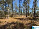  Us Hwy 231 - Photo 13