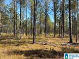 Us Hwy 231 - Photo 14