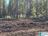  Us Hwy 231 - Photo 18