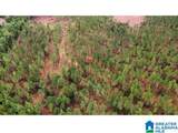  Us Hwy 231 - Photo 22