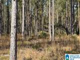  Us Hwy 231 - Photo 5