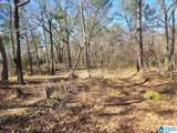 0 Littlebrandt Drive - Photo 1