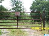 417 County Road 537 - Photo 36