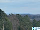 3953 Logan Martin Dam Road - Photo 2