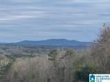 3953 Logan Martin Dam Road - Photo 3