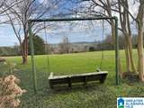 3953 Logan Martin Dam Road - Photo 53