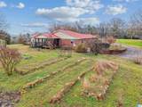 3953 Logan Martin Dam Road - Photo 7