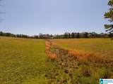  Bluegrass Lane - Photo 10