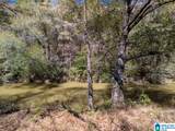  Bluegrass Lane - Photo 13