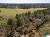  Bluegrass Lane - Photo 28