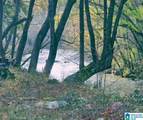  Bluegrass Lane - Photo 4