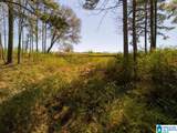  Bluegrass Lane - Photo 9