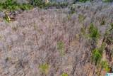 23 ACRES County Road 7 - Photo 5