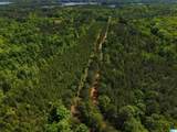 0 County Road 266 - Photo 3