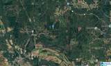 689 County Road 165 - Photo 4