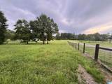 1525 Chelsea Road - Photo 55