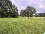 1525 Chelsea Road - Photo 56