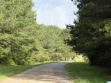 0 County Road 509 - Photo 5