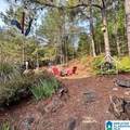 479 Scenic View Lane - Photo 9