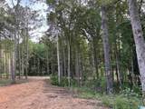 Tract 1 343 County Road 892 - Photo 3