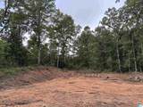 Tract 1 343 County Road 892 - Photo 5