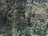 0 Hillyer High Road - Photo 4