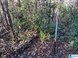 4.15 acres Hagler Road - Photo 11