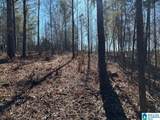 4.15 acres Hagler Road - Photo 5