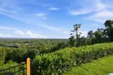 2419 Monte Vista Drive - Photo 58