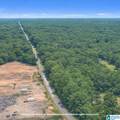 0 Jackson Trace Road - Photo 3