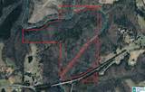 91 Acres County Road 1043 - Photo 16