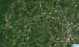 91 Acres County Road 1043 - Photo 17