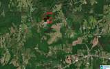 91 Acres County Road 1043 - Photo 18