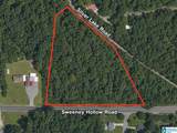 3101 Sweeney Hollow Road - Photo 1