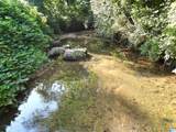 3101 Sweeney Hollow Road - Photo 11