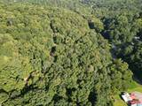 3101 Sweeney Hollow Road - Photo 17