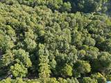 3101 Sweeney Hollow Road - Photo 20