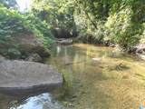 3101 Sweeney Hollow Road - Photo 5