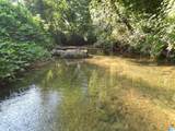 3101 Sweeney Hollow Road - Photo 6