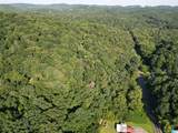 3101 Sweeney Hollow Road - Photo 9