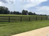 Lot 2 County Road 706 - Photo 15