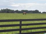 Lot 2 County Road 706 - Photo 16