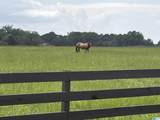 Lot 2 County Road 706 - Photo 18