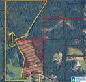 0 County Road 454 - Photo 3