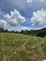 0 County Road 454 - Photo 4