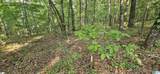  Funderburg Bend Road - Photo 3